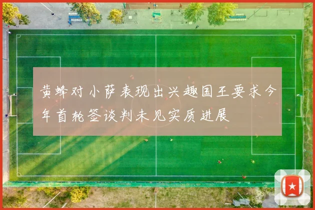 黄蜂对小萨表现出兴趣国王要求今年首轮签谈判未见实质进展